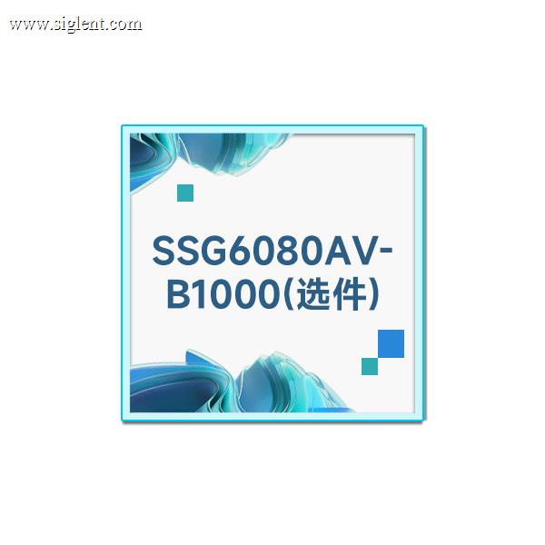 SSG6080AV-B1000